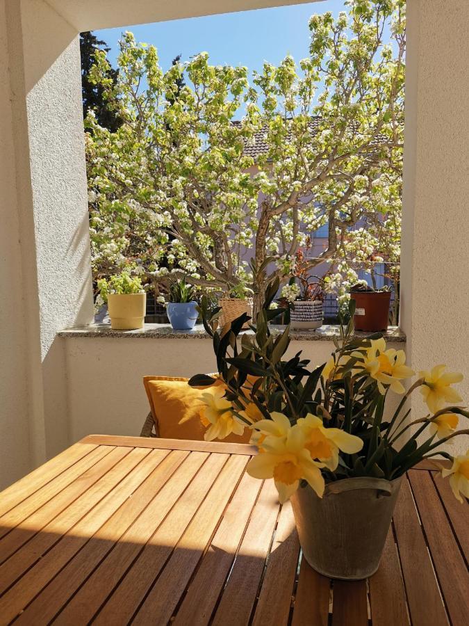 Apartment Soto